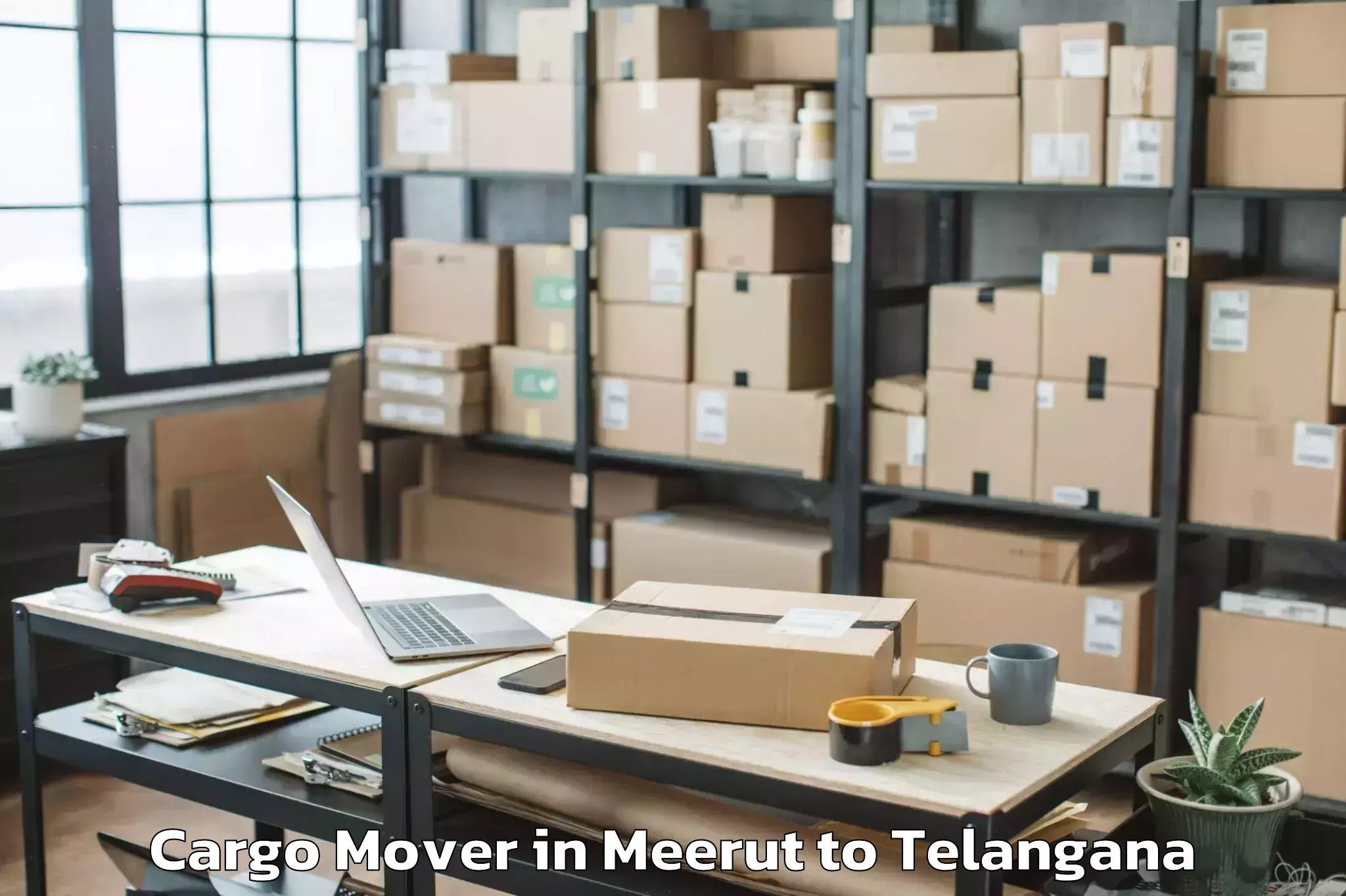 Meerut to Nadigudem Cargo Mover Booking